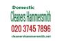 Domestic Cleaners Hammersmith logo