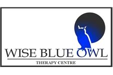 Wise Blue Owl Therapy Centre image 1