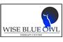 Wise Blue Owl Therapy Centre logo
