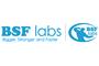 BSF Labs logo