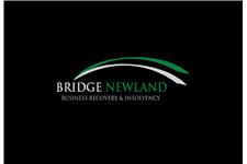Bridge Newland Limited image 1