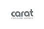 Carat Computer Systems logo