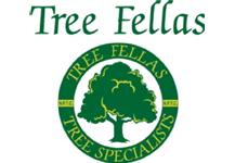 Treefellas image 3