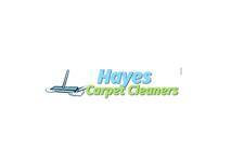 Hayes Carpet Cleaners image 1