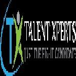 Talent Xperts image 1