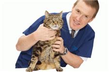 AlphaPet Veterinary Clinic image 5