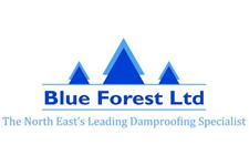 Blue Forest (NE) image 1