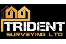 Trident Surveying Ltd image 1