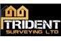Trident Surveying Ltd logo