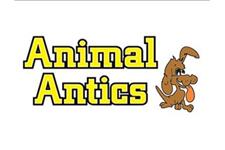 Animal Antics image 1