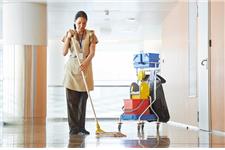 Roehampton Carpet Cleaners image 8