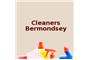 Bermondsey Cleaners logo