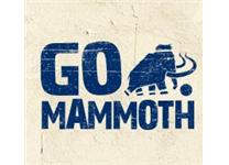 GO Mammoth image 1