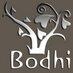 Bodhi Clinic image 2