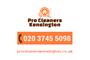 Professional Cleaners Kensington logo