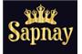 Sapnay School of Dance logo