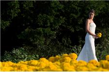 Dan Child Photography - Weddings, Portraits, Products, Events image 3