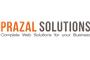 prazal solutions Pvt.Ltd. logo