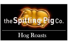 Spitting Pig Wales image 1