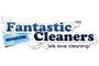 Fantastic Window Cleaners Putney logo