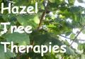 Hazel Tree Therapies image 1