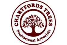 Chartfords Trees image 1