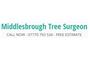 Middlesbrough Tree Surgeon logo