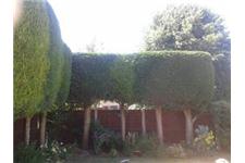 m s tree & garden services image 4