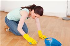 Chelsea Carpet Cleaners Ltd. image 4