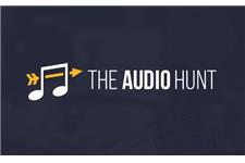 The Audio Hunt image 1