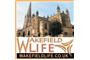 Wakefield Life Directory logo