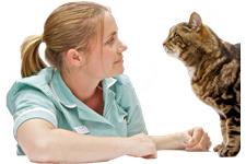 AlphaPet Veterinary Clinic image 4
