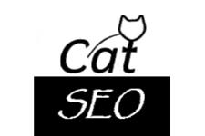 catSEO Services SEO Consultancy London image 1