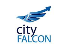 City Falcon image 1