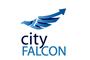 City Falcon logo