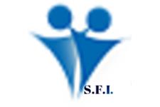 SFI - Web Development image 1