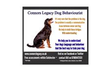 Connors Legacy Dog Behaviourist Training and Understanding image 9
