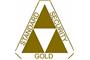 Gold Standard Security logo