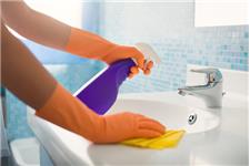 Professional Cleaners Bushey Mead image 1