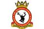 2517 (Buxton) Squadron Air Cadets logo