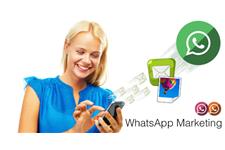 Whatsapp Marketing image 7