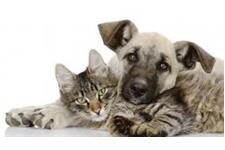 Veterinary Diagnostic - Vetlab Supplies Ltd image 4