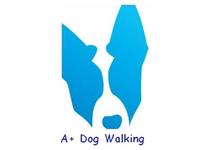 A+ Dog Walking image 1