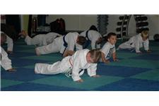 McKinstry Family Martial Arts image 1