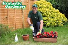Fantastic Gardeners image 1