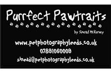 Purrfect Pawtraits by Sinead McKervey image 1