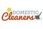 Star Domestic Cleaners logo