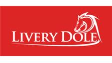 Livery Dole - Mitsubishi Dealership image 1