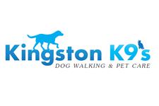 Kingston K9s image 1