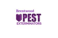 Pest Exterminators Brentwood image 1